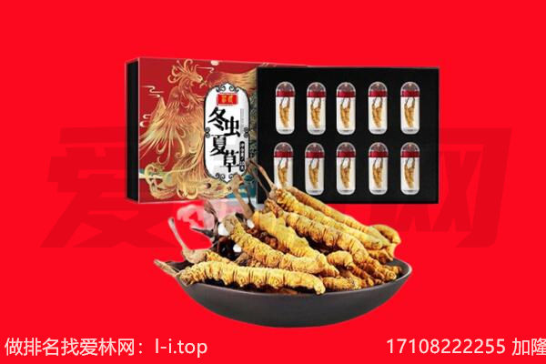 宾川县回收虫草.jpg